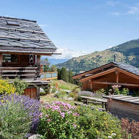 シャレー Mayen Du Bleusy By Interhome *